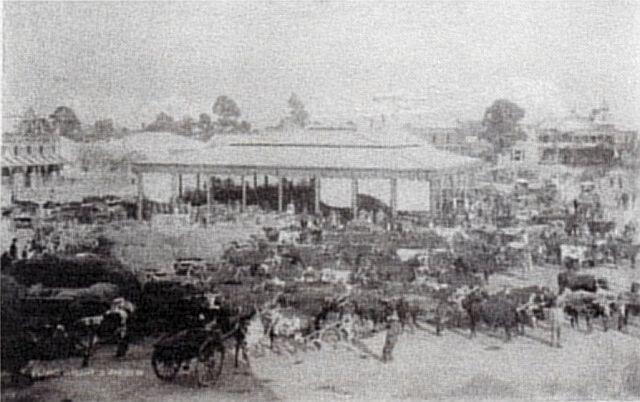 Bloemfontein the Segregated city