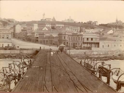 Port Elizabeth Timeline 1799-1986