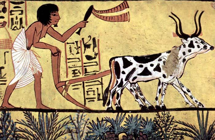 Way of life in ancient Egypt