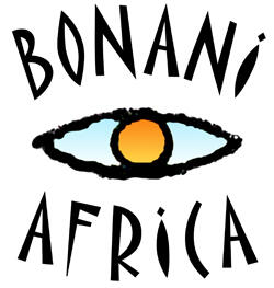 Bonani Africa Festival of photography