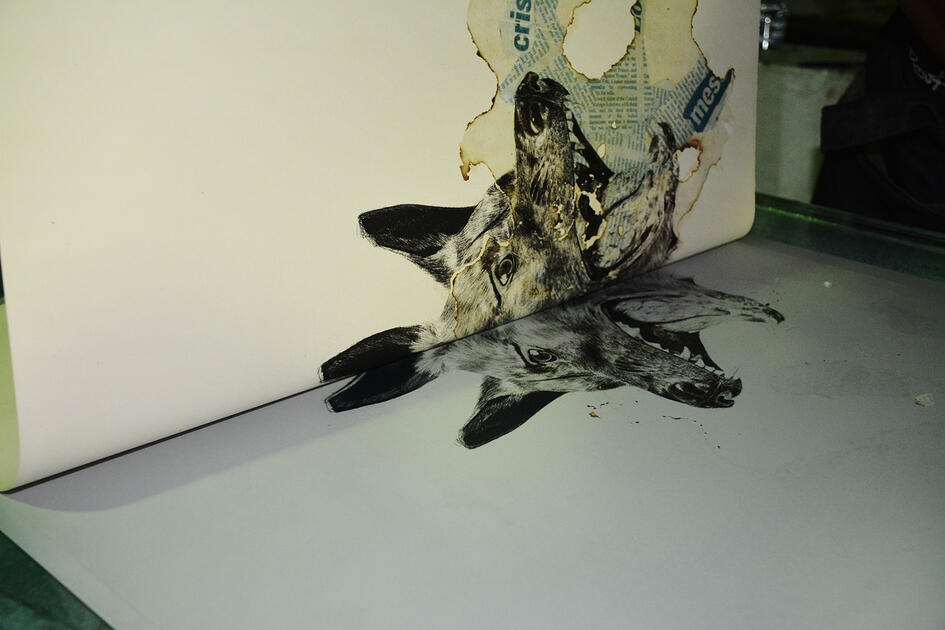 Artist Proof Studio
