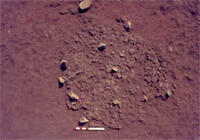 Prehistory of the Pretoria area
