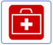 Grade 6 - Term 4: Medicine through time