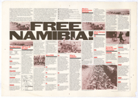 Free Namibia