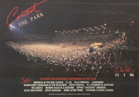 Concert in the park