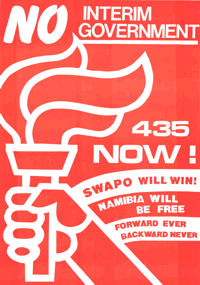 No Interim Government; SWAPO Will Win
