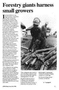 Forestry giants harness small growers
