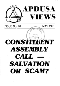 Constituent assembly call - salvation or scam?
