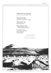 Poem for Di Bishop and the bereaved of Cradock and Port Elizabeth