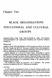 Chapter two: Black organisations - Educational and cultural groups