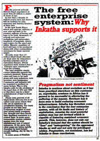The free enterprise system: why the Inkatha supports it