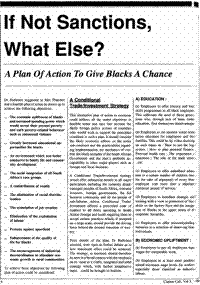 If not sanctions, what else?: a plan of action to give Blacks a chance