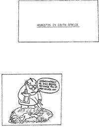 Asbestos in South Africa