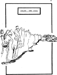 Cholera - some issues
