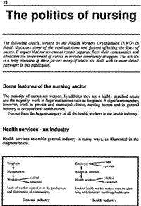 The politics of nursing