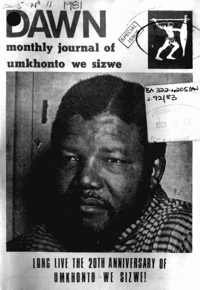 Dawn Volume 5 Number 11 November 1981