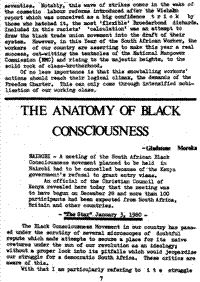 The anatomy of Black consciousness