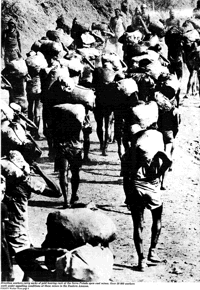 Brazil: a Workers` Party