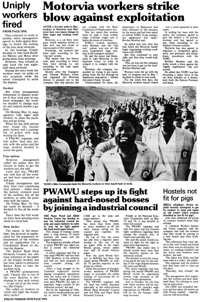 Hostels not fit for pigs