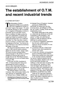 Mozambique: The establishment of O.T.M. and recent industrial trends