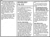Schoolboy police