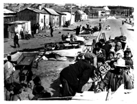 Photograph of Korsten slum dwellers