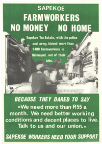 SAPEKOE farmworkers : no money : no home 