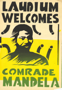 Laudium welcomes Comrade Mandela
