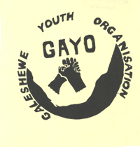 GAYO : Galeshewe Youth Organisation