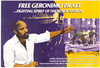 
Free Geronimo pratt  : fighting spirit of the black nation
