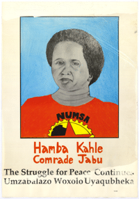 Hamba kahle Comrade Jabu
