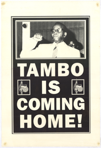 Tambo is coming home!