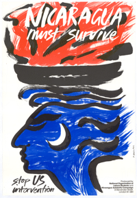
Nicaragua must survive:  stop US intervention
