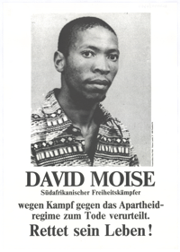 David Moise