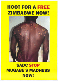 Hoot for a free Zimbabwe now!
