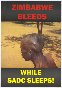 Zimbabwe bleeds: while SADC sleeps!