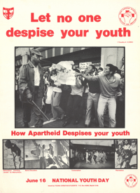 Let no one despise your youth
