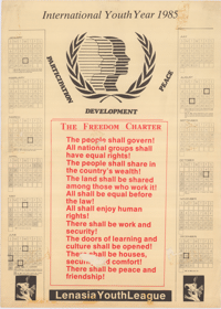 International Youth Year 1985 