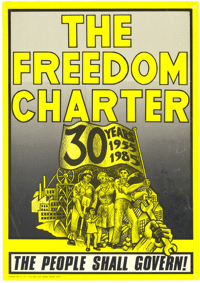 Freedom Charter Poster - 30 Year Celebration