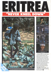 Eritrea never kneel down