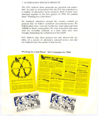 7. Alternative service projects