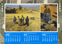 1988 : January to December Calendar EDA