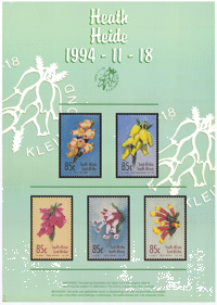 Heath: heide: 1994-11-18: Kleinmond  
