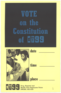 Vote on the constitution of 99