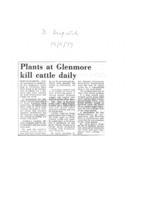 Plants at Glenmore kill cattle daily