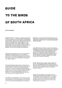 Guide to the Birds of South Africa