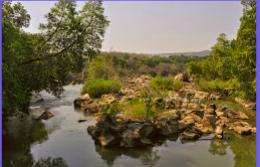 Lowveld National Botanical Gardens