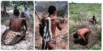 Becoming human in southern Africa