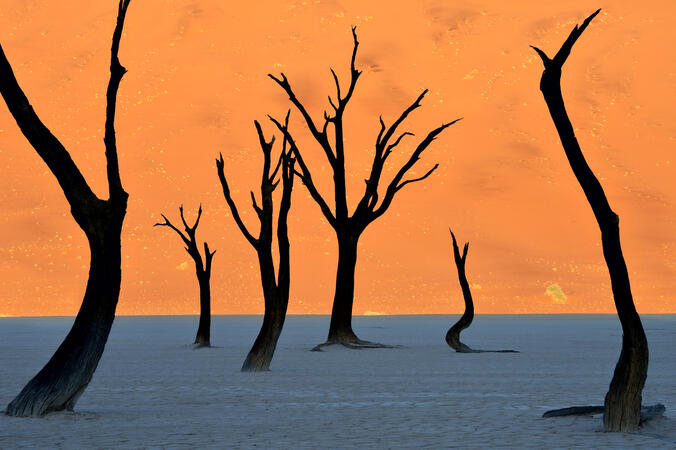 Namibian Timeline