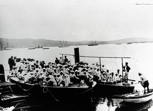 The Zulu kingdom and the colony of Natal 